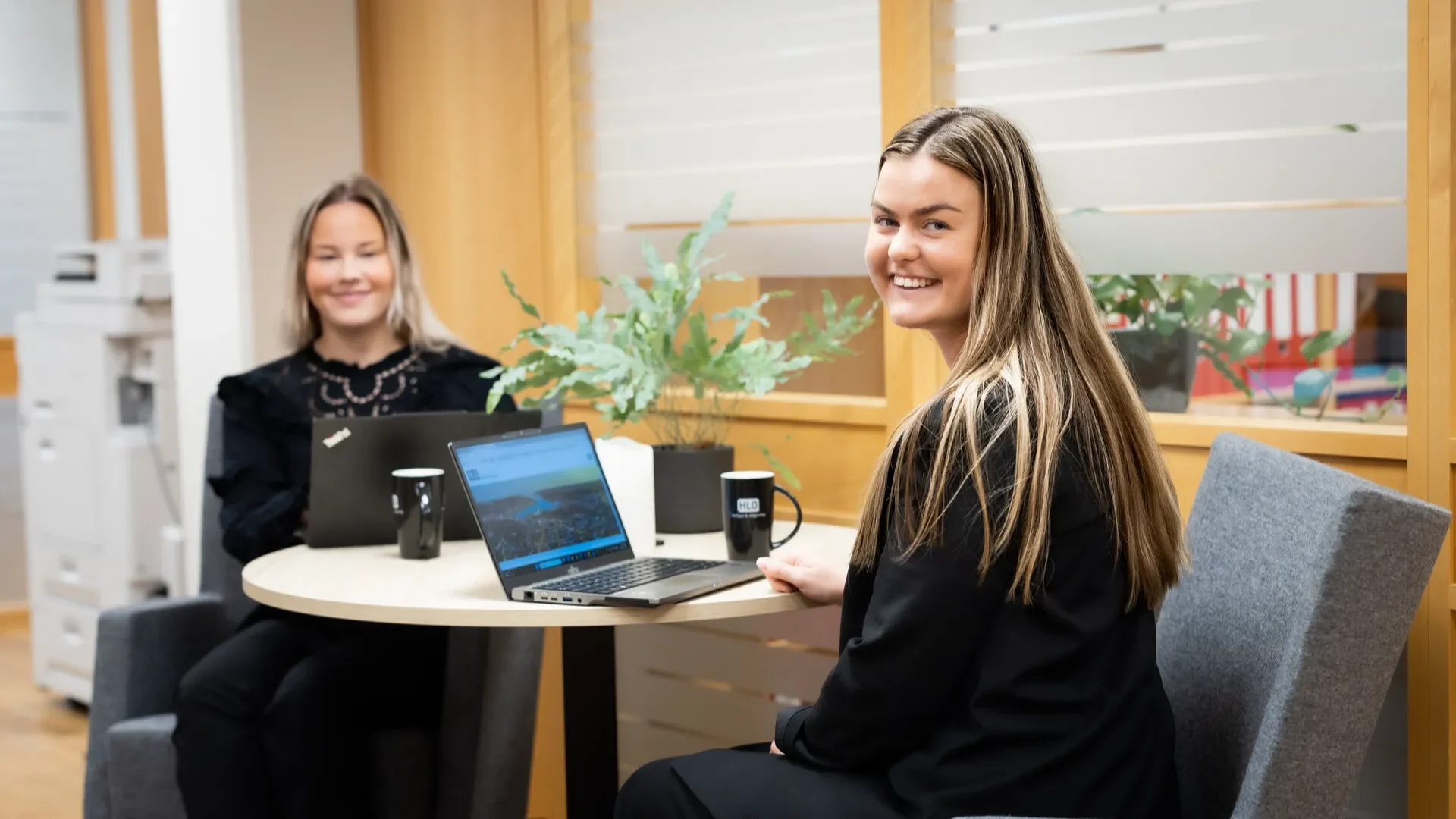 HLO revisjon & rådgivning AS